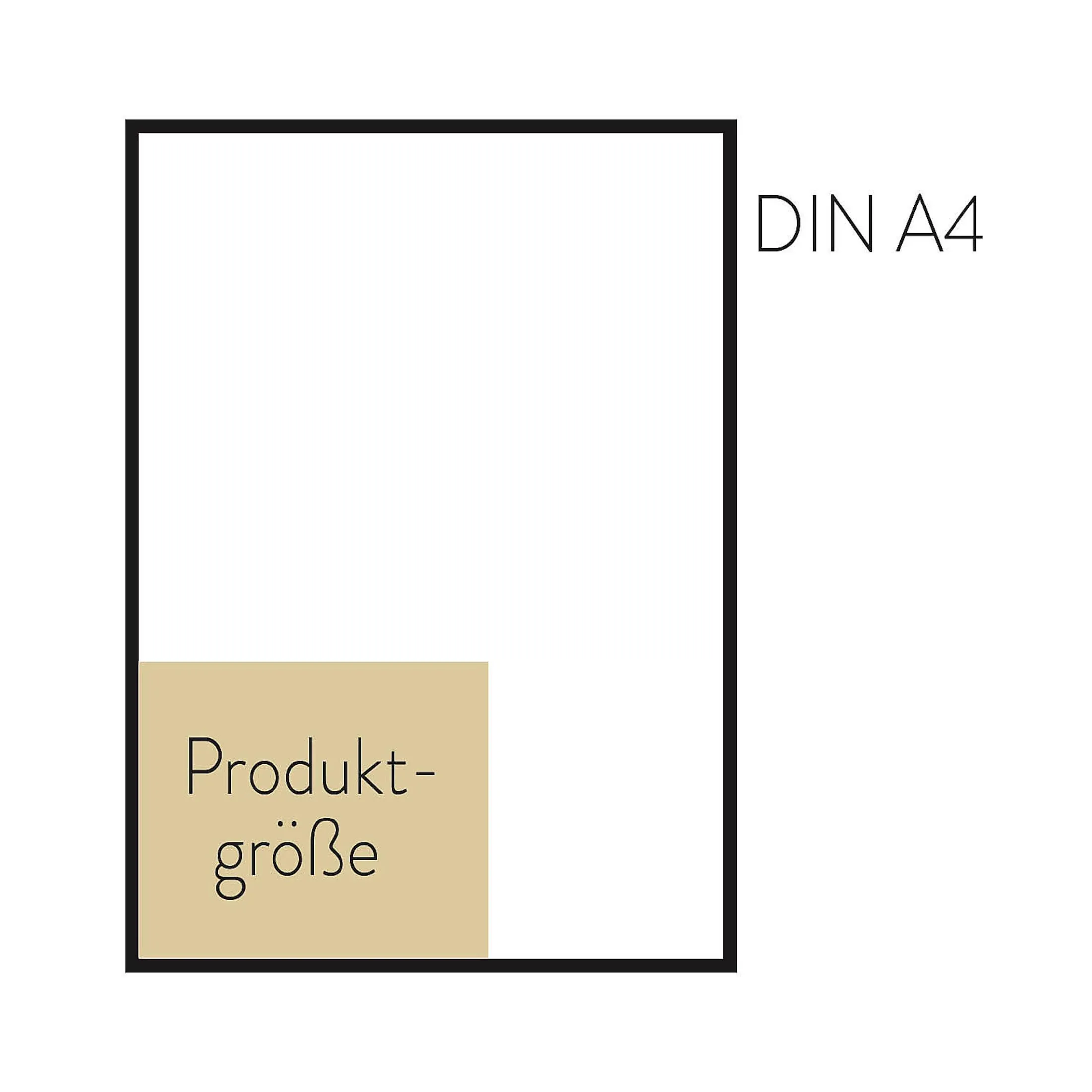 Store Depot Buch 50 Ist Absolut Wundervoll