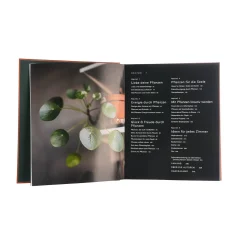Best Sale Depot Buch Plant Tribe
