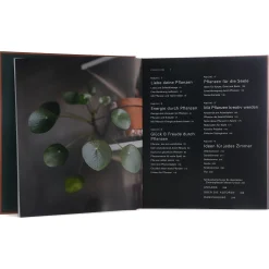 Best Sale Depot Buch Plant Tribe