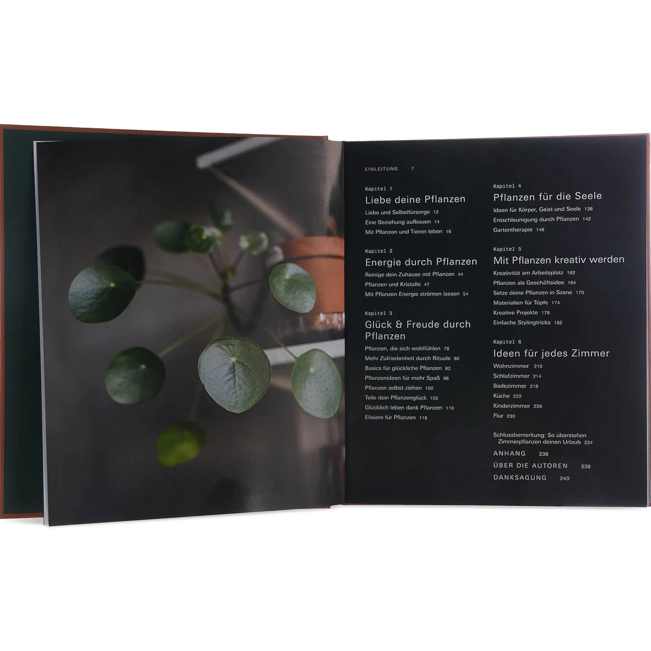 Best Sale Depot Buch Plant Tribe