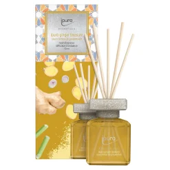 Sale Depot Essentials Raumduft Ginger Treasure