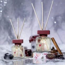 Best Depot Essentials Raumduft Winter Berries