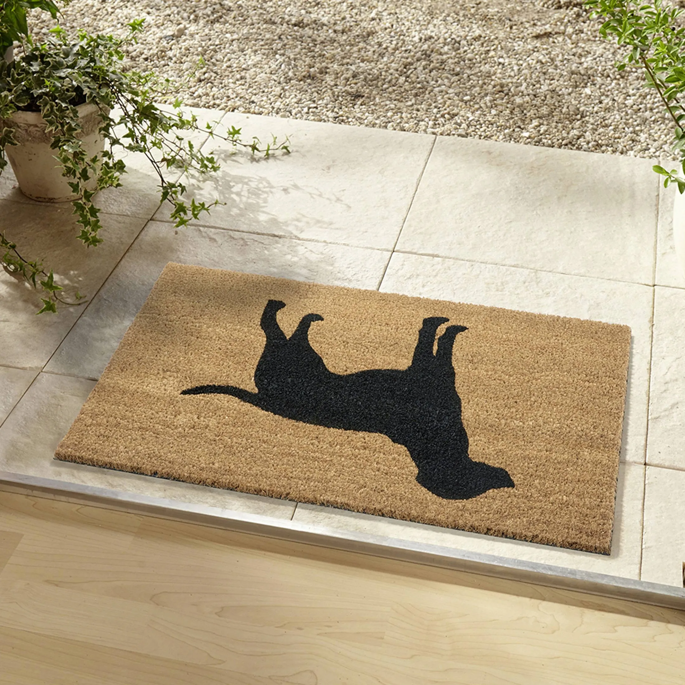 Cheap Depot Fusmatte Dog