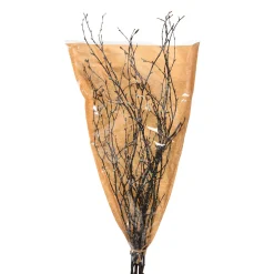 Fashion Depot Glitzer-Naturzweig