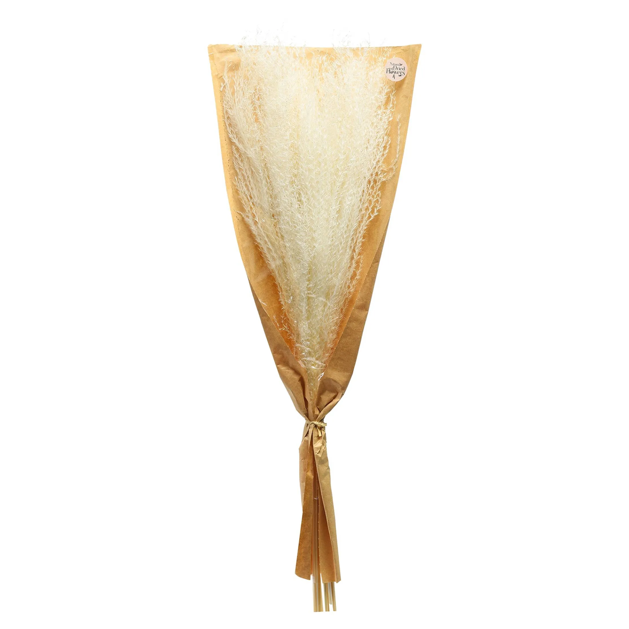 Fashion Depot Glitzer-Trockenblumen-Bundel Miscanthus