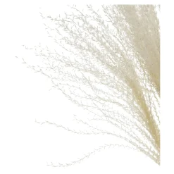 Fashion Depot Glitzer-Trockenblumen-Bundel Miscanthus
