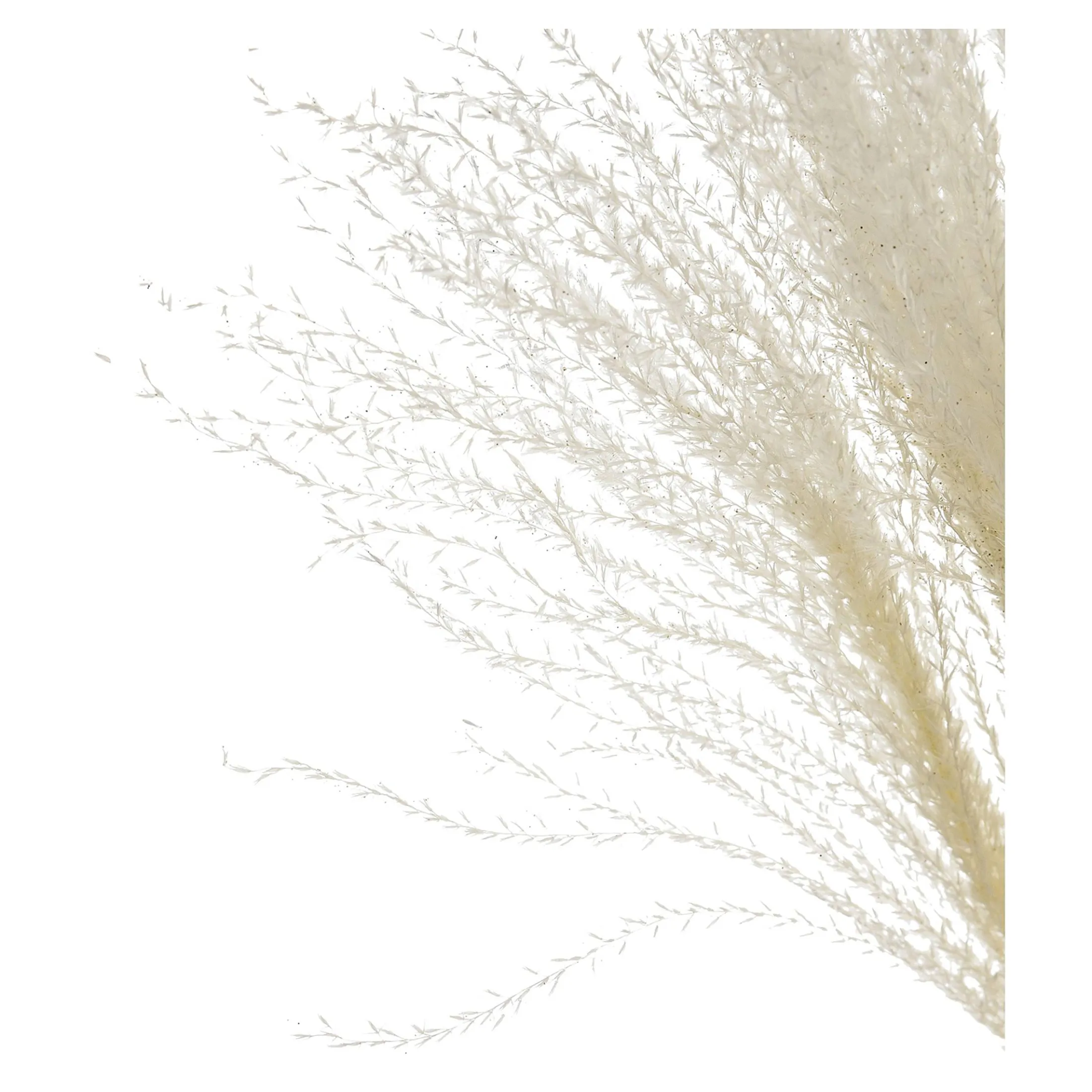 Fashion Depot Glitzer-Trockenblumen-Bundel Miscanthus