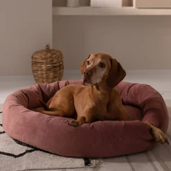 Discount Depot Haustier-Samt-Kuschelinsel Velvet