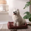 Shop Depot Haustier-Samt-Kuschelsofa Velvet