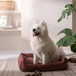 Shop Depot Haustier-Samt-Kuschelsofa Velvet