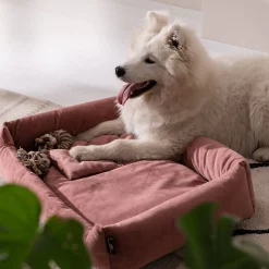 Shop Depot Haustier-Samt-Kuschelsofa Velvet