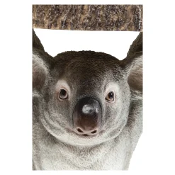 Cheap Depot Kare Beistelltisch Koala