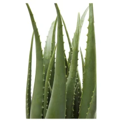 Clearance Depot Kare Kunstpflanze Aloe Im Topf