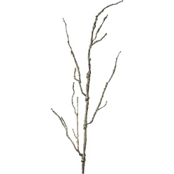 Depot Einzelblumen & Zweige>Kunstast