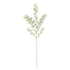 Best Sale Depot Kunstblume Mini Ruscus Ca. 50Cm