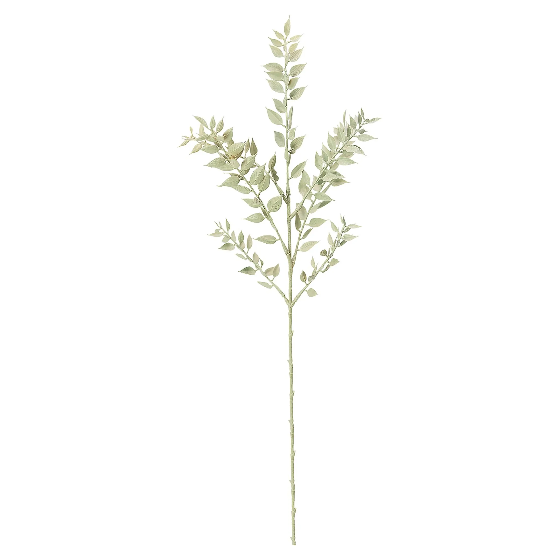 Best Sale Depot Kunstblume Mini Ruscus Ca. 50Cm