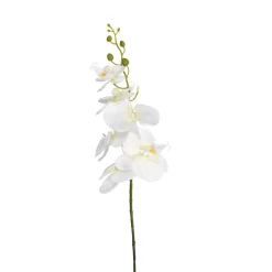 Depot Einzelblumen & Zweige>Kunstblume Orchidee Phalaenopsis