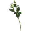 Depot Einzelblumen & Zweige>Kunstblume Rose
