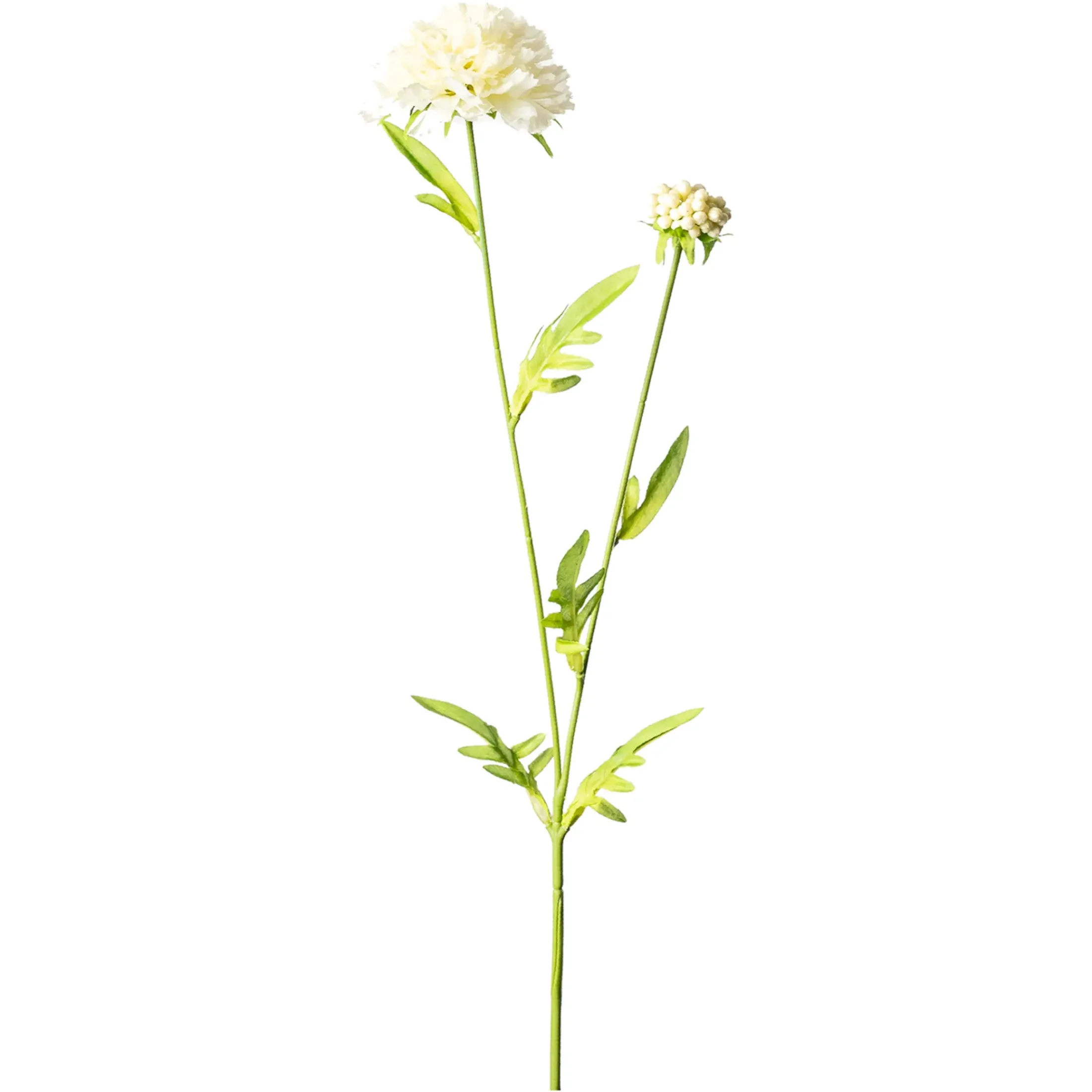 Depot Einzelblumen & Zweige>Kunstblume Scabiosa