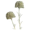 Sale Depot Kunstblume Scabosia