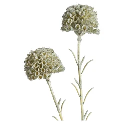 Sale Depot Kunstblume Scabosia