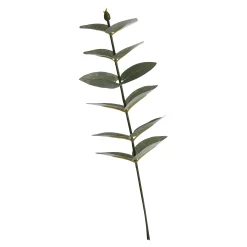 Hot Depot Kunst-Blumenpick Eukalyptus