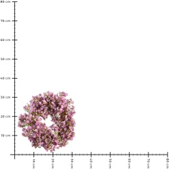 Depot Blumenkränze><noscript><img width=
