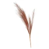 Online Depot Kunst-Pampasgras