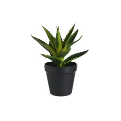 Cheap Depot Kunstpflanze Aloe Vera Im Topf