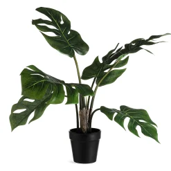 Fashion Depot Kunstpflanze Monstera Im Topf