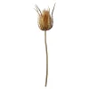 Online Depot Kunst-Stielblume Distel