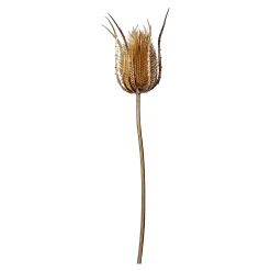 Online Depot Kunst-Stielblume Distel