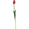 Depot Einzelblumen & Zweige>Kunst-Stielblume Tulpe