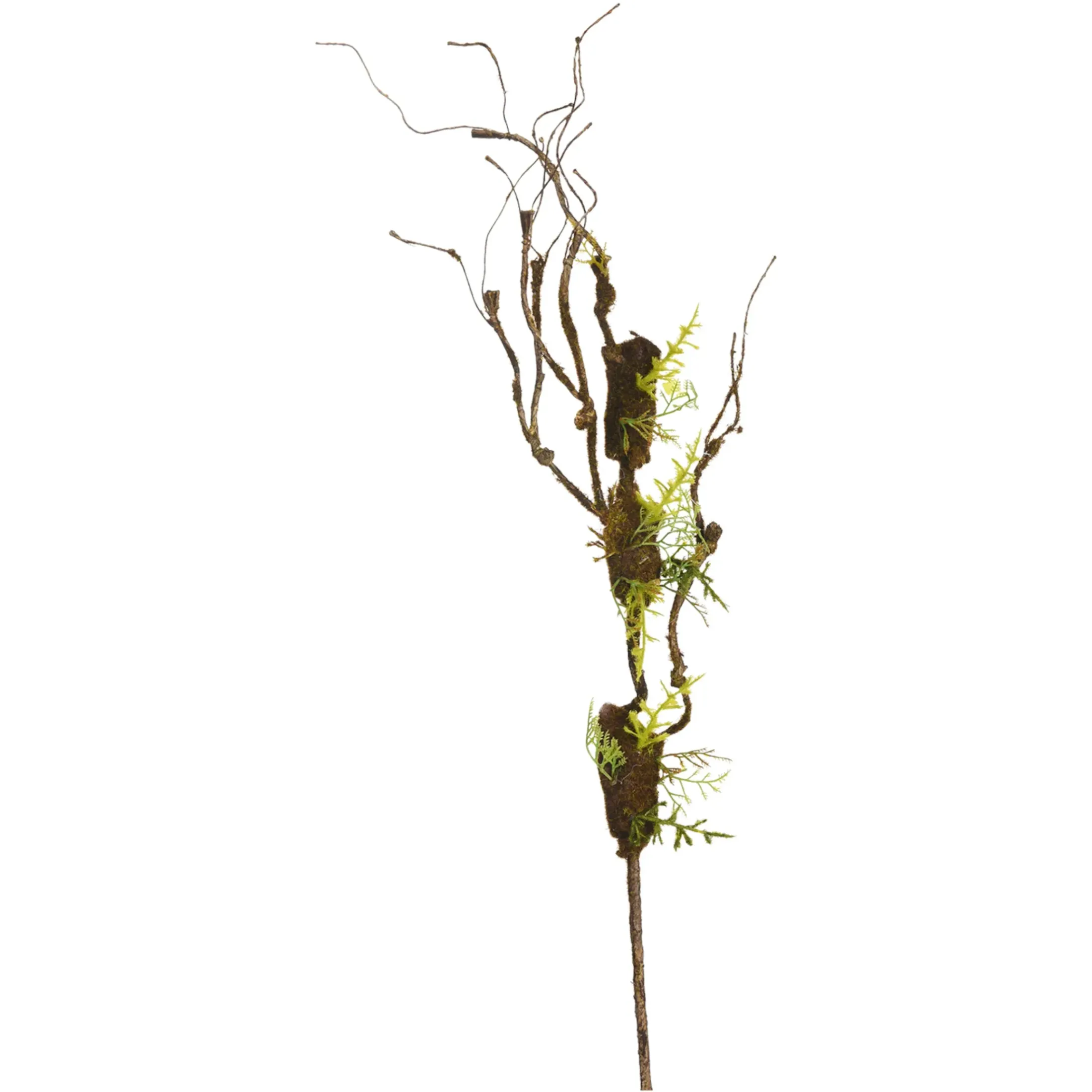 Depot Einzelblumen & Zweige>Kunstzweig Curly Mit Moos