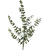 Depot Einzelblumen & Zweige>Kunstzweig Eukalyptus
