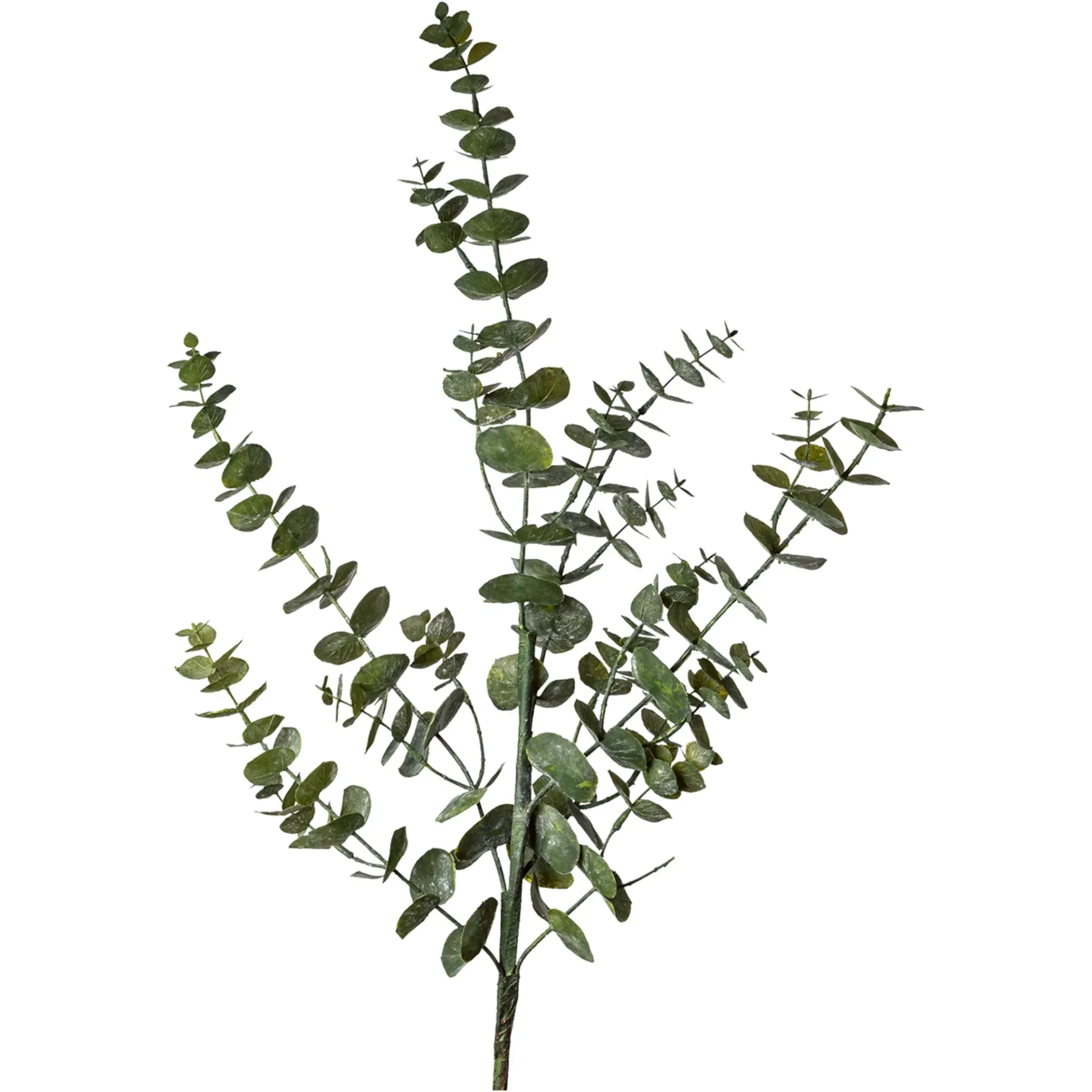 Depot Einzelblumen & Zweige>Kunstzweig Eukalyptus