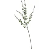 Depot Einzelblumen & Zweige>Kunstzweig Eukalyptus