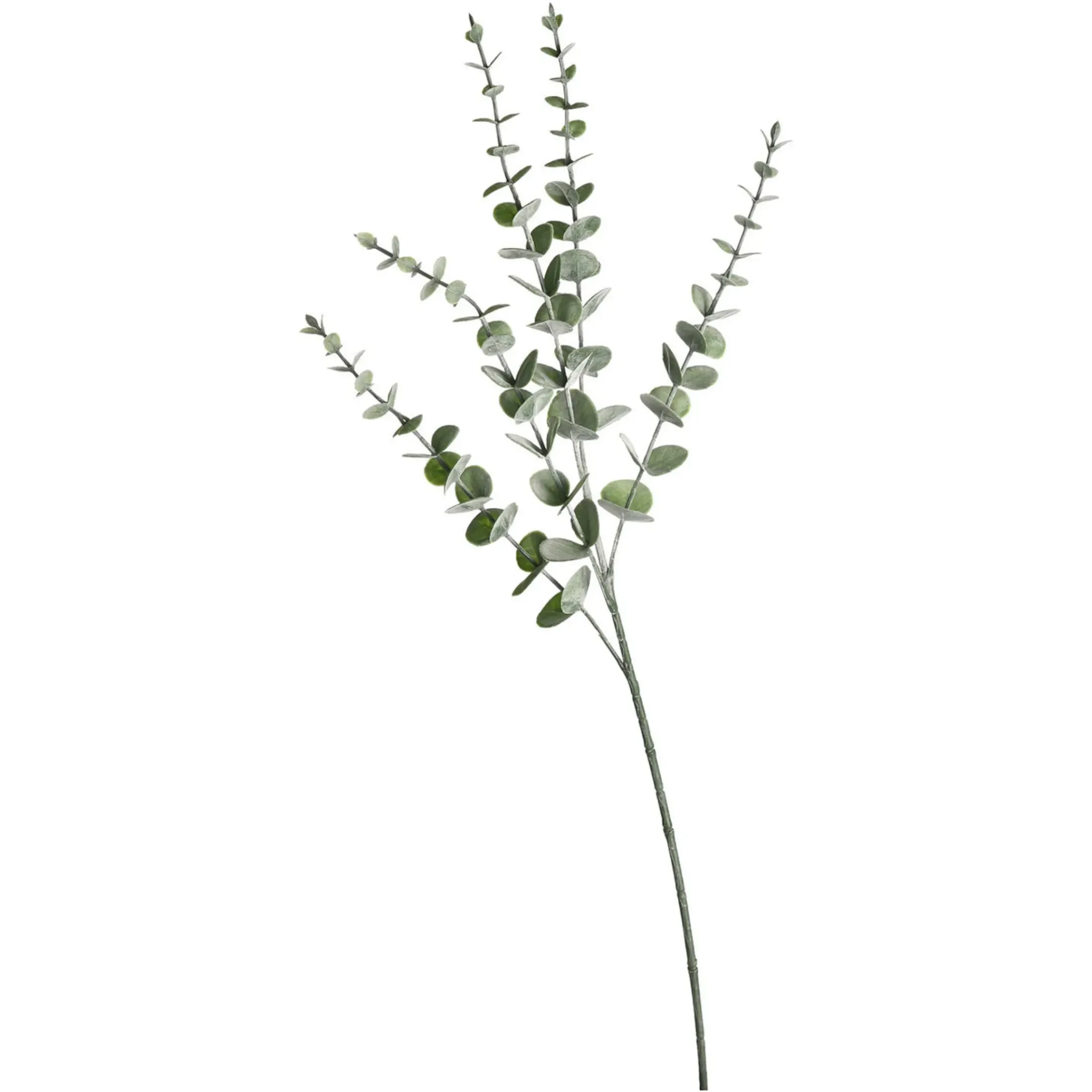 Depot Einzelblumen & Zweige>Kunstzweig Eukalyptus