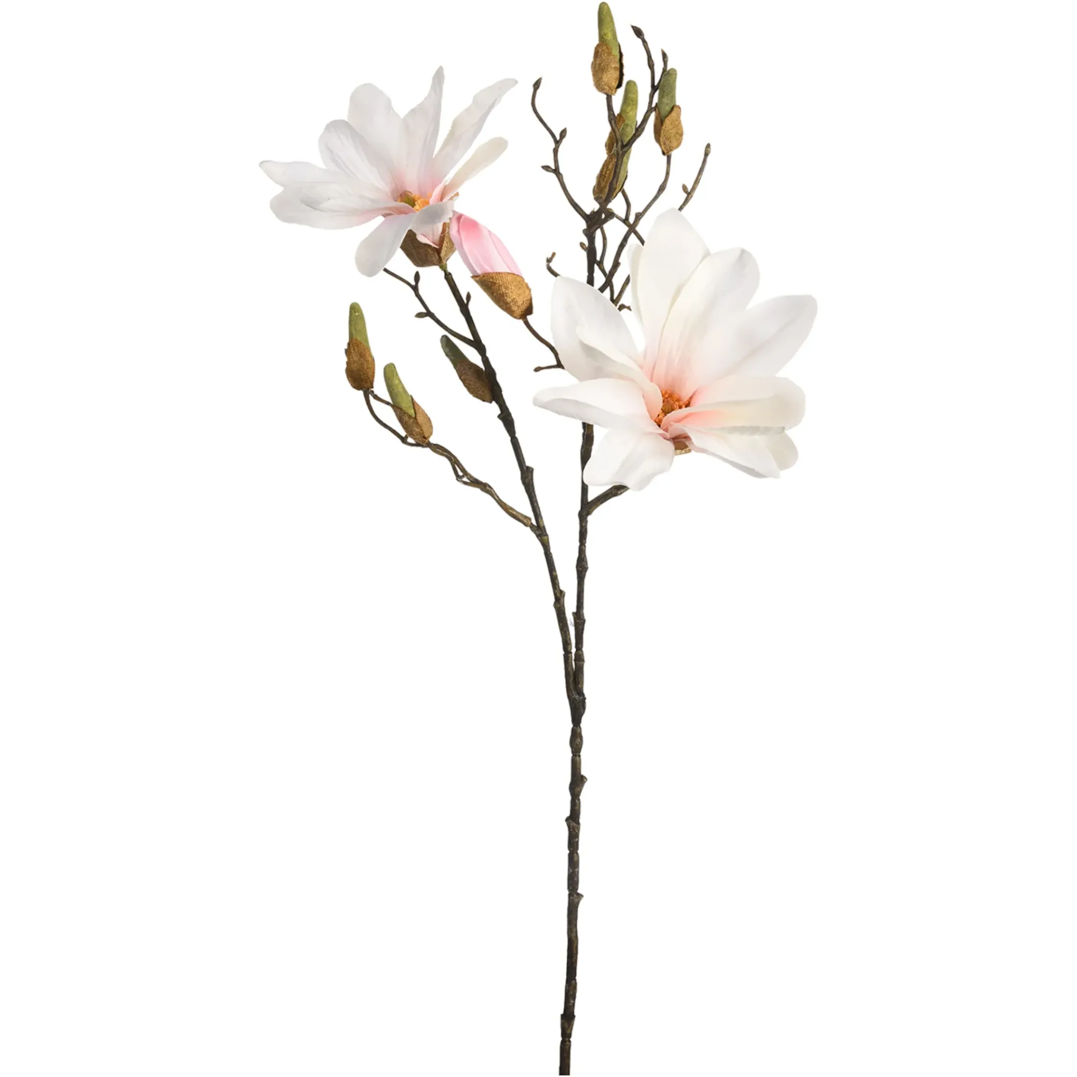 Depot Einzelblumen & Zweige>Kunstzweig Gold-Magnolie