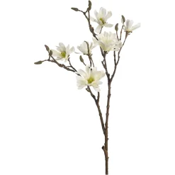 Depot Einzelblumen & Zweige>Kunstzweig Magnolia