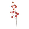 Outlet Depot Kunstzweig Physalis