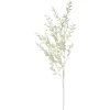 Sale Depot Kunstzweig Ruscus