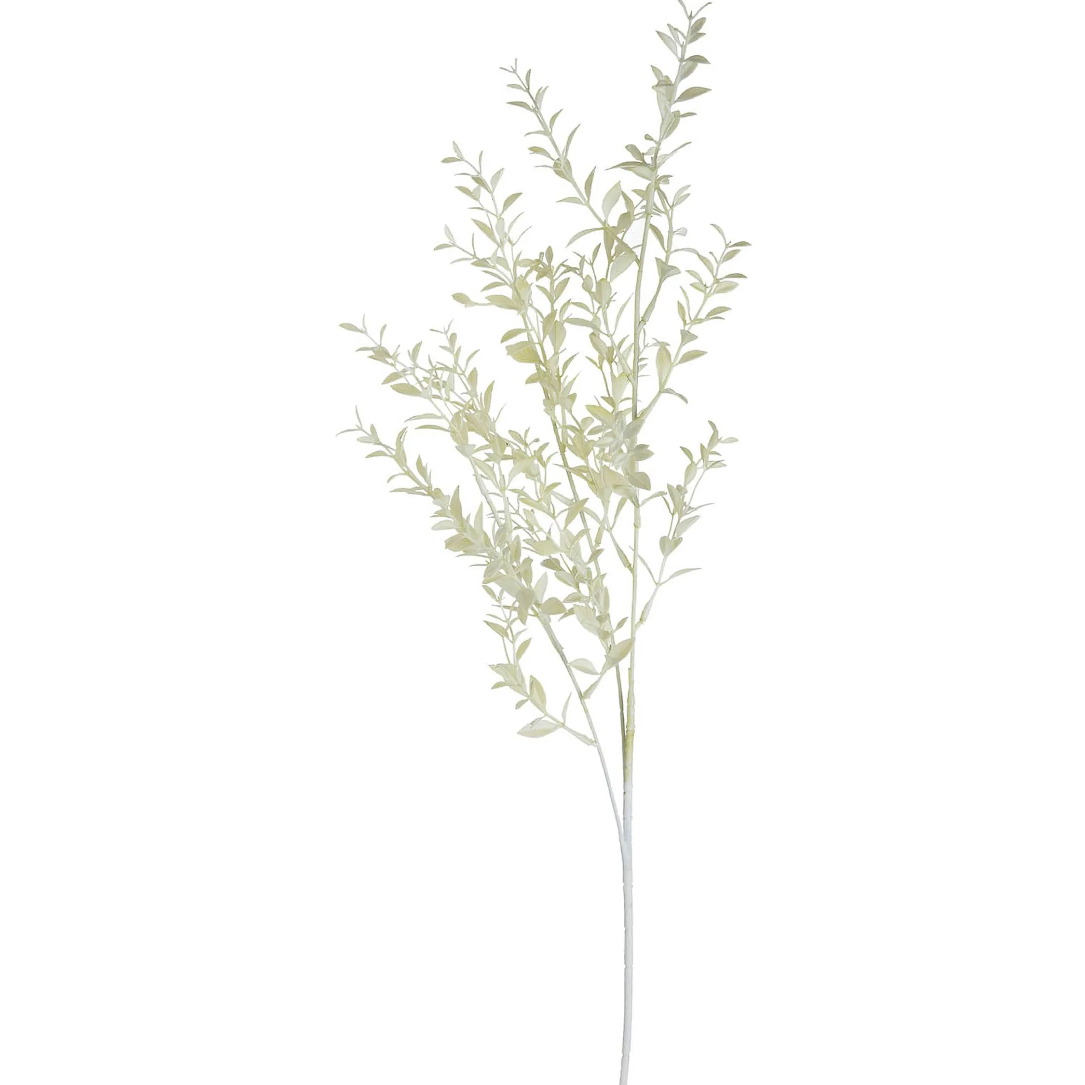 Sale Depot Kunstzweig Ruscus