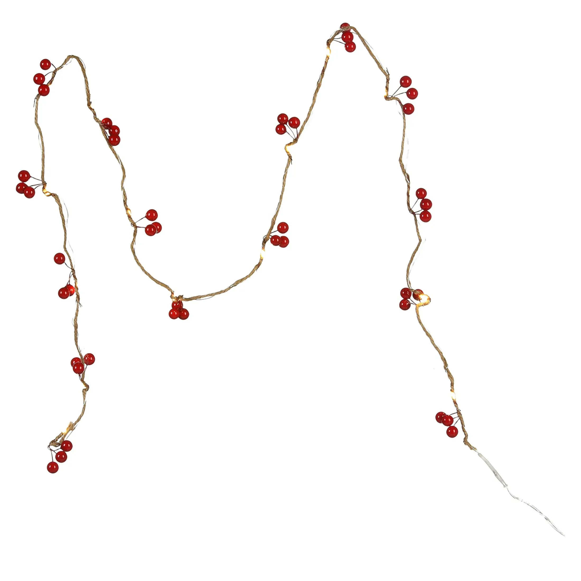 Shop Depot Led-Lichterkette Berries