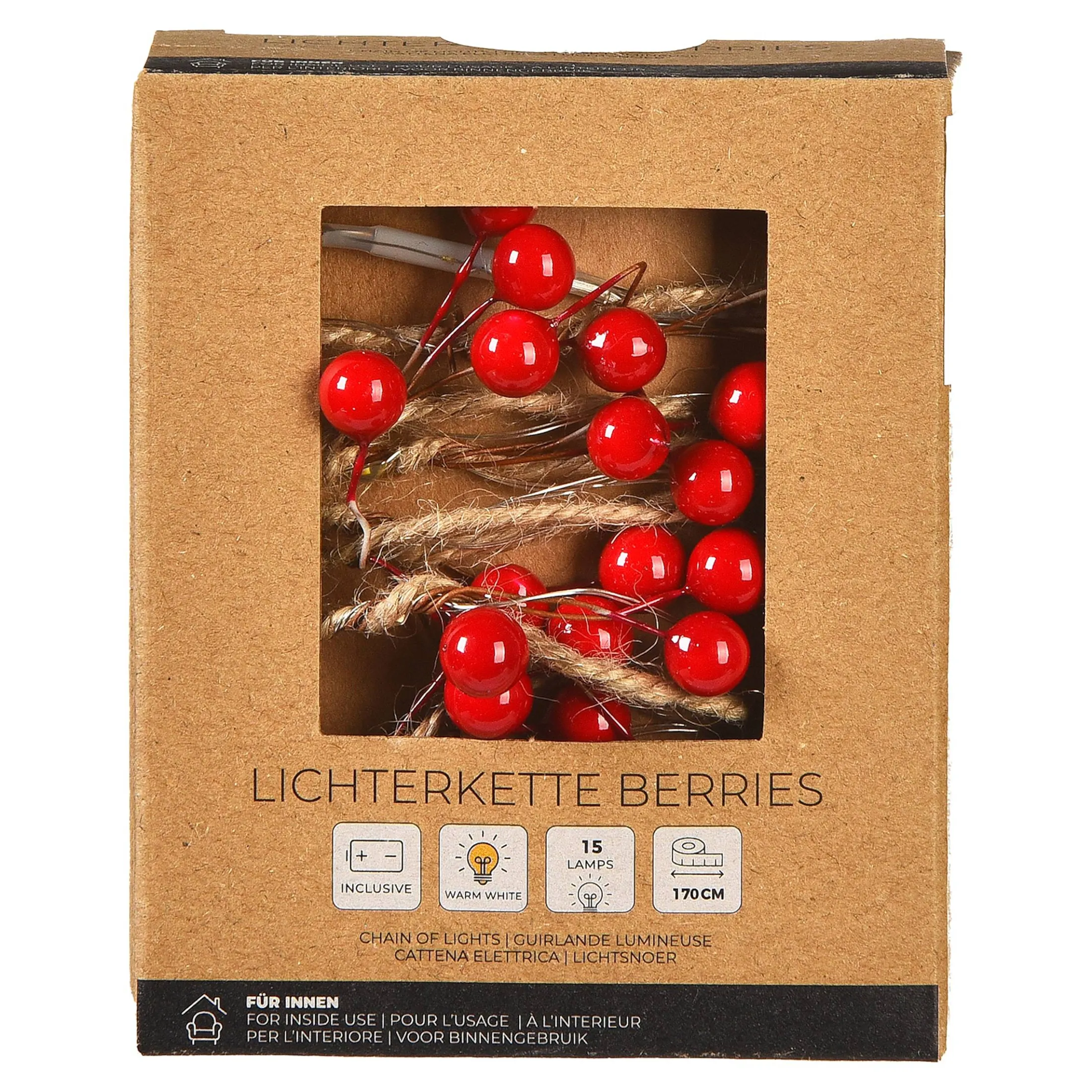 Shop Depot Led-Lichterkette Berries