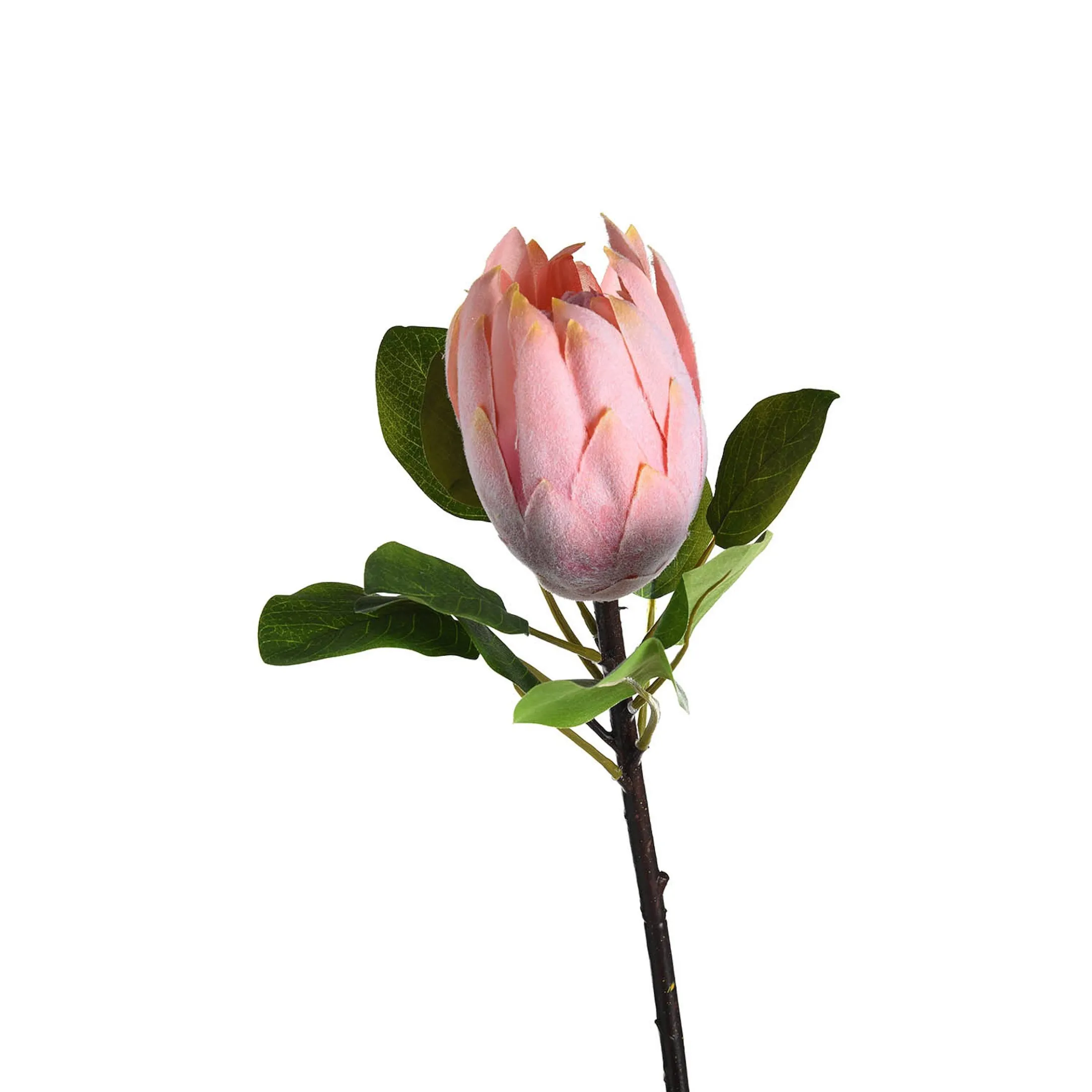 Fashion Depot Metallic-Kunstblume Protea