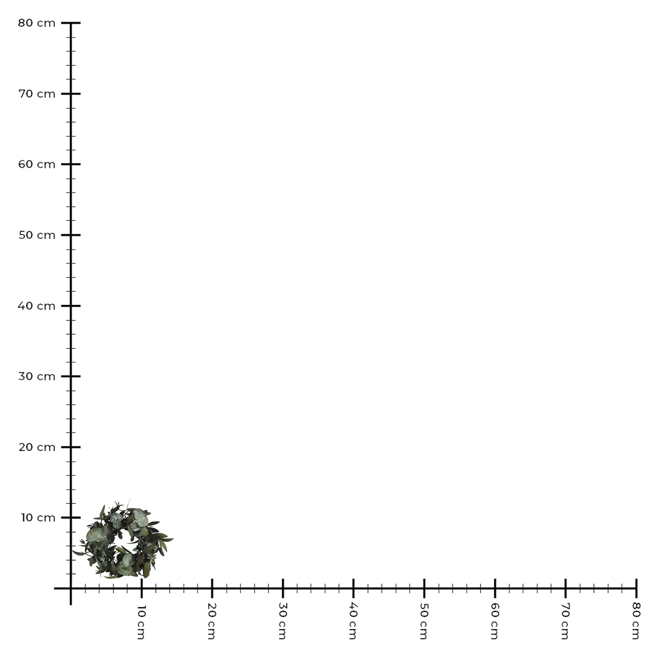 Sale Depot Mini-Trockenblumenkranz Greenery
