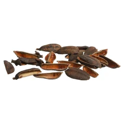Online Depot Natur-Streuartikel Seedpod