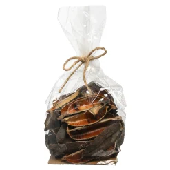 Online Depot Natur-Streuartikel Seedpod