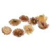 Fashion Depot Natur-Streuartikel Strohblumen